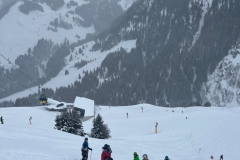 FC32FA3D-689E-4024-82E6-B3DF2FB313B2