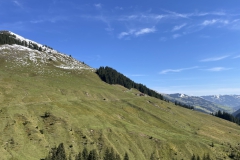 IMG_7313