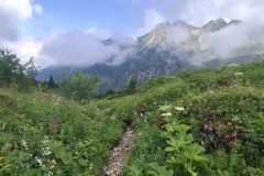 Klettersteig_Allgaeu_25_20250704_144140.jpg