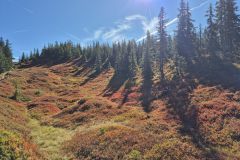 Bike_u-Hike_25_20250921_1034540.jpg