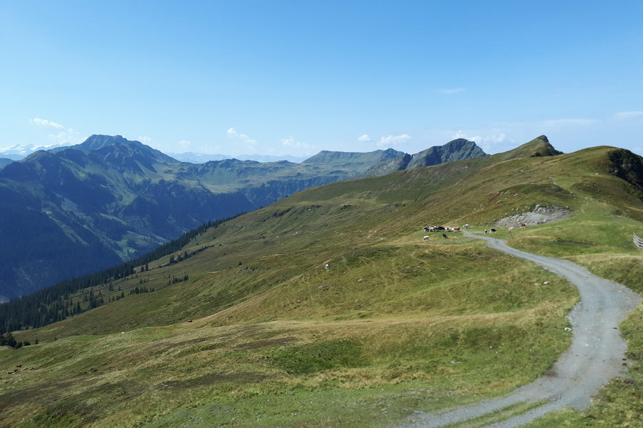 Bergerlebnistag am Jenner